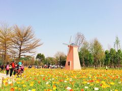 -豆豆冰室·地道招牌椰子冻(大良店)