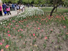 -长春公园(普阳街道)