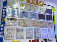 -极客晨星少儿编程