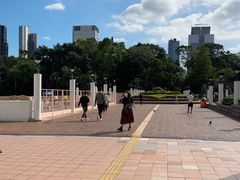 -九龙公园