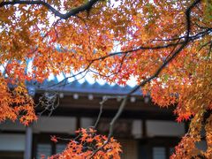 -常寂光寺