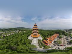 -铁山坪森林公园