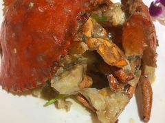 -高老庄绿色传奇(昊元生活广场店)