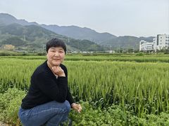 -杨家堂村