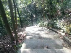 -广州市帽峰山景区