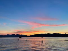 -西湖外事游船(湖滨二公园外事游船码头)