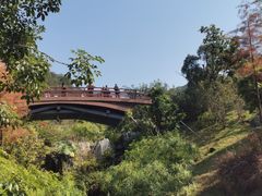 -云溪植物园