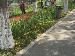 -食膳公园包子铺(烈士公园店)