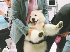 -东浩兰生上海世博展览馆