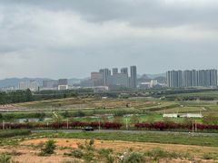-光明小镇欢乐田园