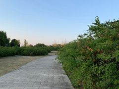 -九里河湿地公园