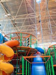 -爱丽丝奇幻乐园