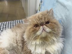 -鑫亮视光·蔡司品牌折扣店·配镜(哈工大科学园店)