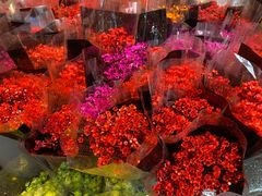 -循礼门鲜花花市(武汉循礼门店)