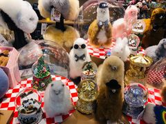 -新世界百货(顺义店)