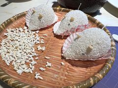 -点都德·毕德寮
