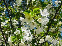 -江南大学(蠡湖校区)