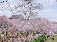 -山东师范大学(千佛山校区)