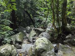 -七仙岭温泉国家森林公园