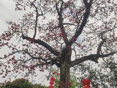 -南海神庙
