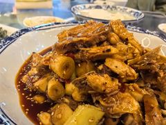 -龙翔山庄雷鸡肉(青城后山泰安古镇店)