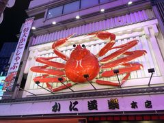 -蟹道乐(道顿堀本店)