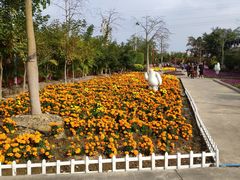 -广东花都香草世界旅游度假区