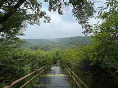 -大青沟风景区