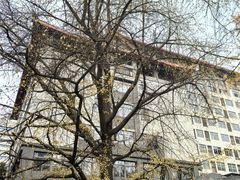 -四川大学(华西校区)