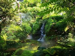 -Chom Cafe and Restaurant