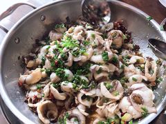 -百岁鱼(七一路店)