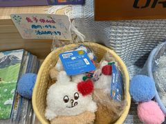 -猫的天空之城概念书店(大学路店)