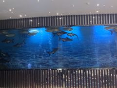 -诺莱仕游艇会