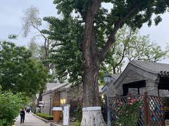 -淮四九宴•老饭骨大师技(前门店)