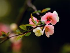 -共青国家森林公园-售票处