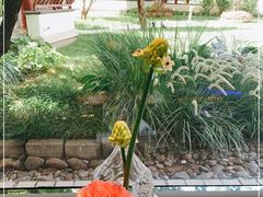 -九献创意菜·牛排馆(亮马河花园店)