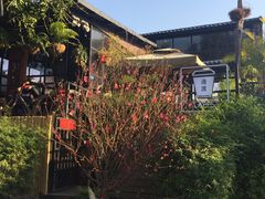 -邊渡咖啡