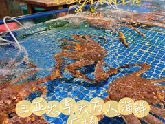 -三亚火车头万人海鲜广场