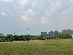 -深圳湾公园(南山区)