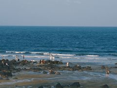 -硇洲岛旅游区