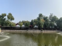 -尚庄度假村·庭台树下·户外烧烤·团建CS·轰趴营地(上庄水库店)