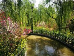 -南汇桃花村