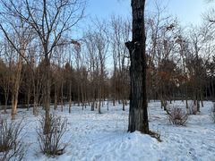 -长春市南湖公园