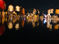 -奉贤海滩