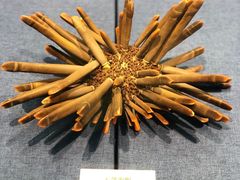 -大连自然博物馆