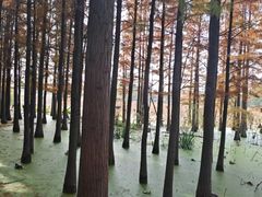 -云龙湖旅游景区