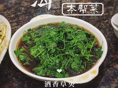 -海金滋(陕西南路店)