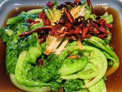 -五百斤·20年正宗川菜·猛火现炒(鲁东大学店)