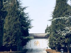 -法门文化景区