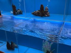 -怡咖啡·自助餐·西安香格里拉